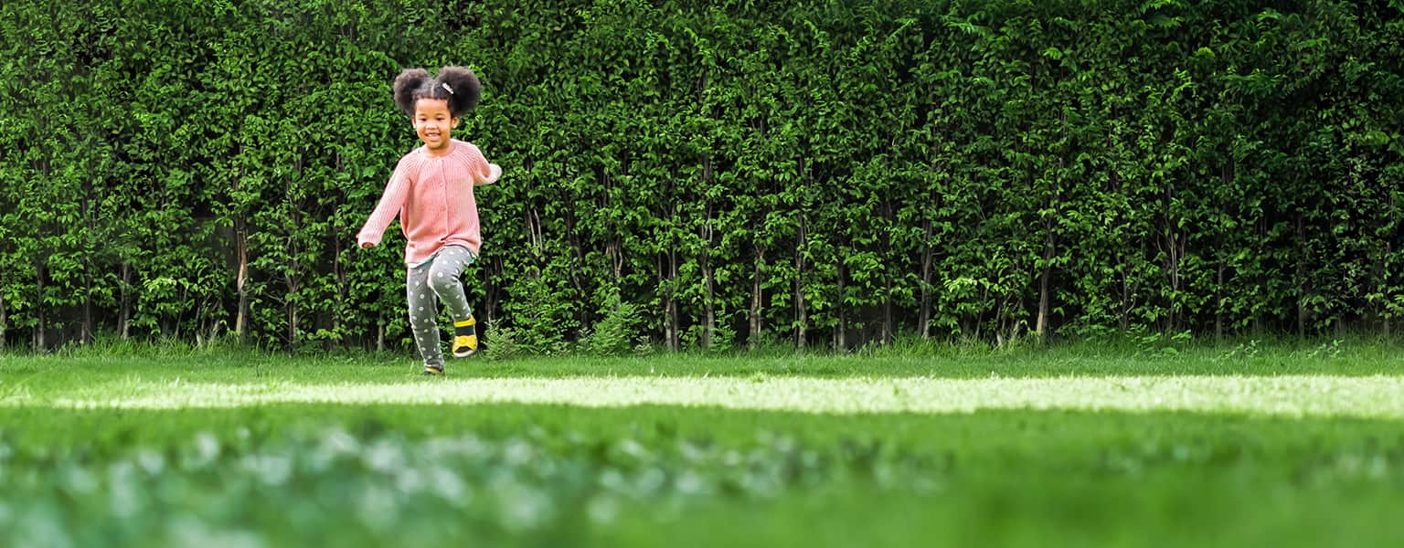 Learn More at https://www.cradlestocrayons.org/